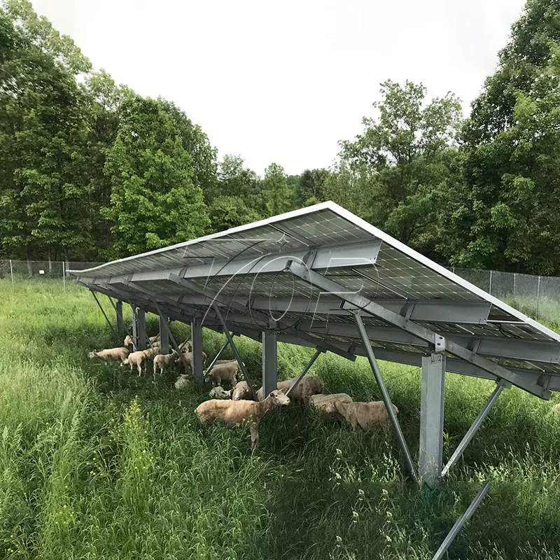 Pannelli solari per l'agricoltura: aiutare la sostenibilità energetica dell'agricoltura a un livello più alto!